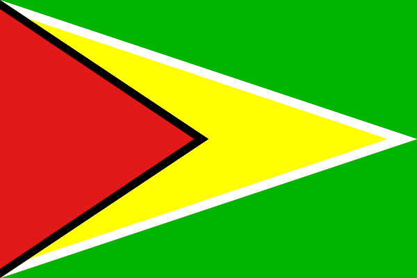 Flagge Guyana