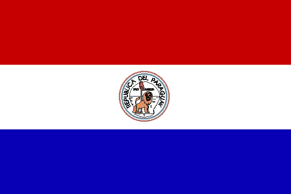 R&uuml;ckseite Flagge Paraguay