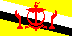 Flagge Brunei