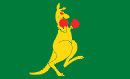 Boxing Kangaroo