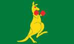 Boxing Kangaroo