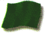 Gr&uuml;ne Flagge