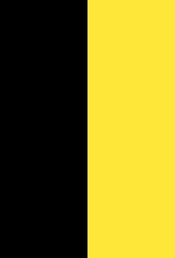Hochkantflagge M&uuml;nchen