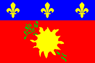 Nicht offizielle lokale Flagge Guadeloupe