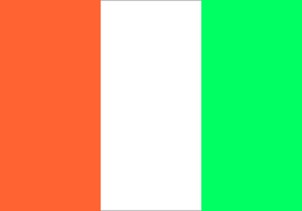 Print-Flag Elfenbeink&uuml;ste