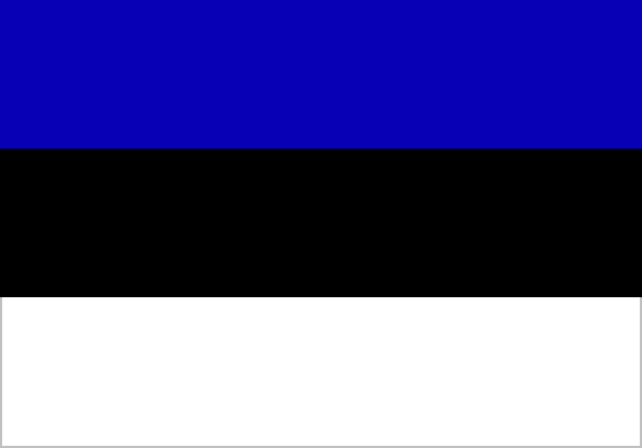 Print-Flag Estland
