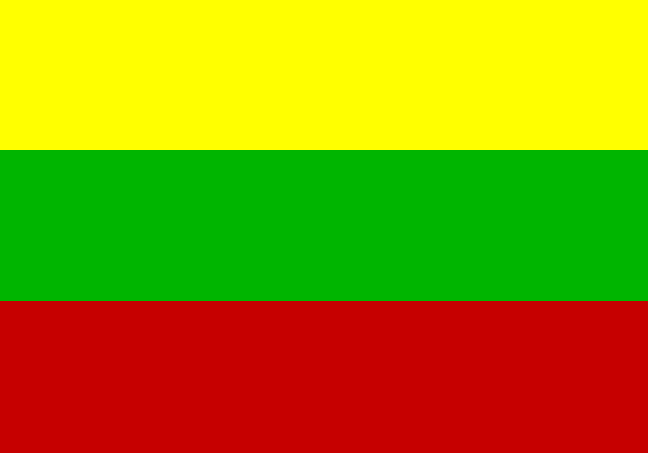 Print-Flag Litauen