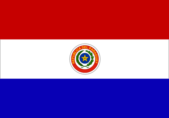 Print-Flag Paraguay