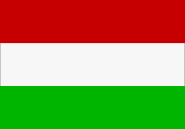 Print-Flag Ungarn