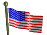 Stars & Stripes